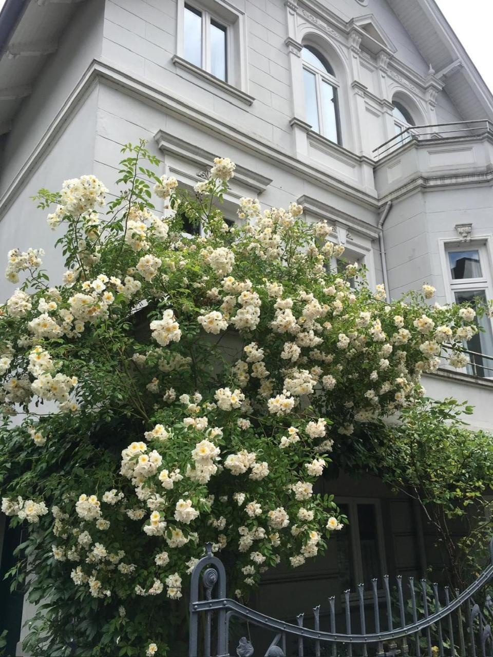 Ruhige Wohnung In Zentral Gelegener Gruenderzeitvilla Oldenburg Esterno foto